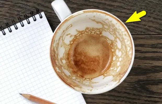 Cik bieži jāmazgā kafijas krūze.