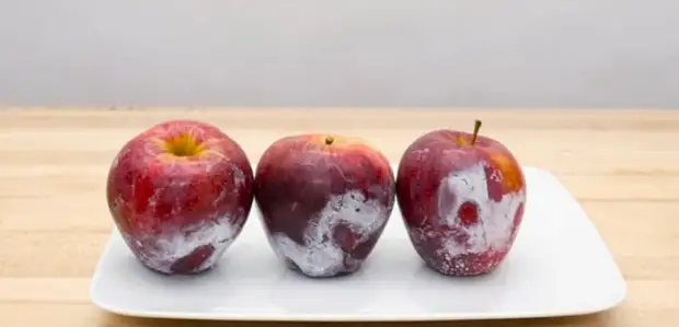 Hogyan kell mosni az almát a viaszból
