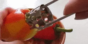 Hur man rengör peppar med en speciell enhet