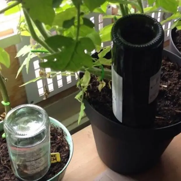 Watering flowers