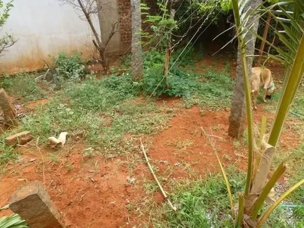 How to make a pond do it yourself