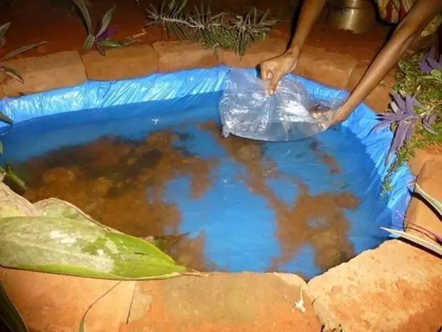 Paano gumawa ng isang pond gawin ito sa iyong sarili