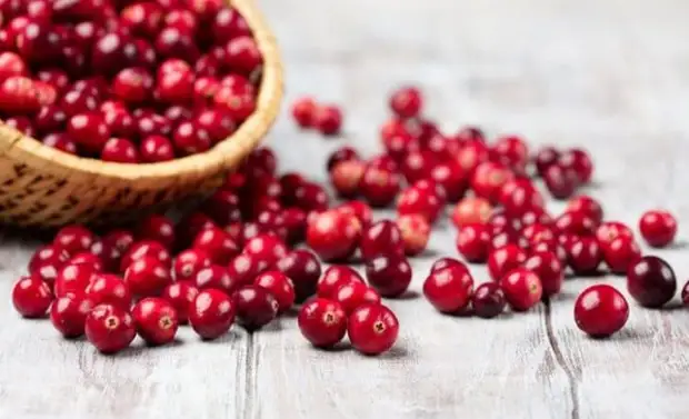 Malgranda grandega potenca bero: 8 Utilaj Cranberry-kvalitoj