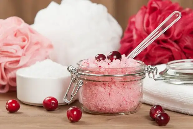 Kleine riesige Machtbeere: 8 nützliche Cranberry-Qualitäten