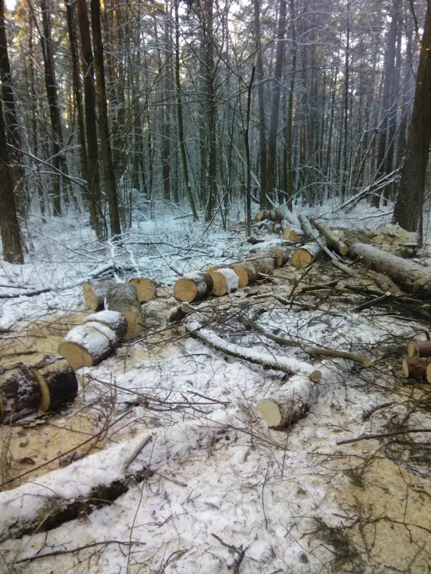 Kako napraviti korisnu stolicu s vlastitim rukama