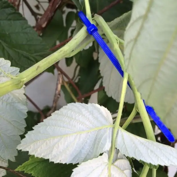 20 manieren om kabel-screeds te brûken yn it deistich libben