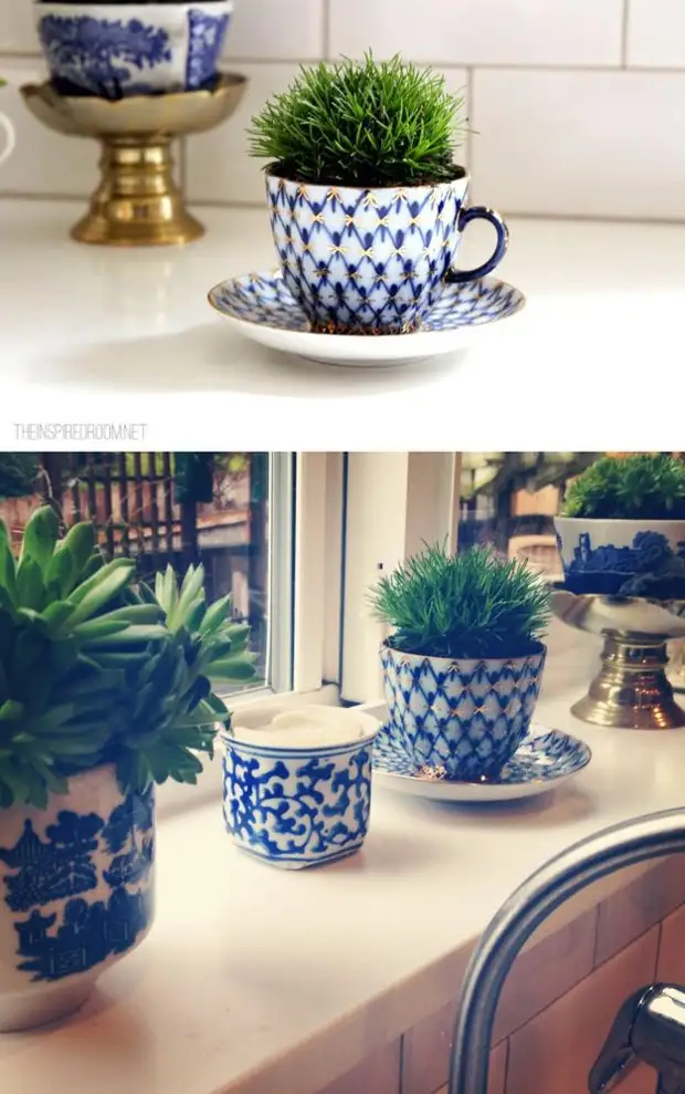 Old Tea Cups