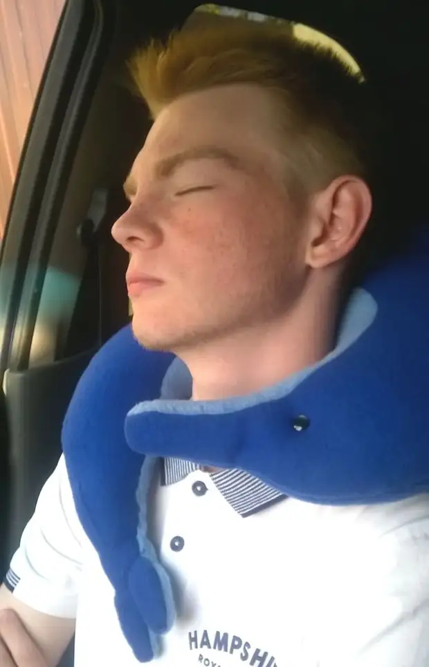 Vi sy en Dolphin Road Pillow