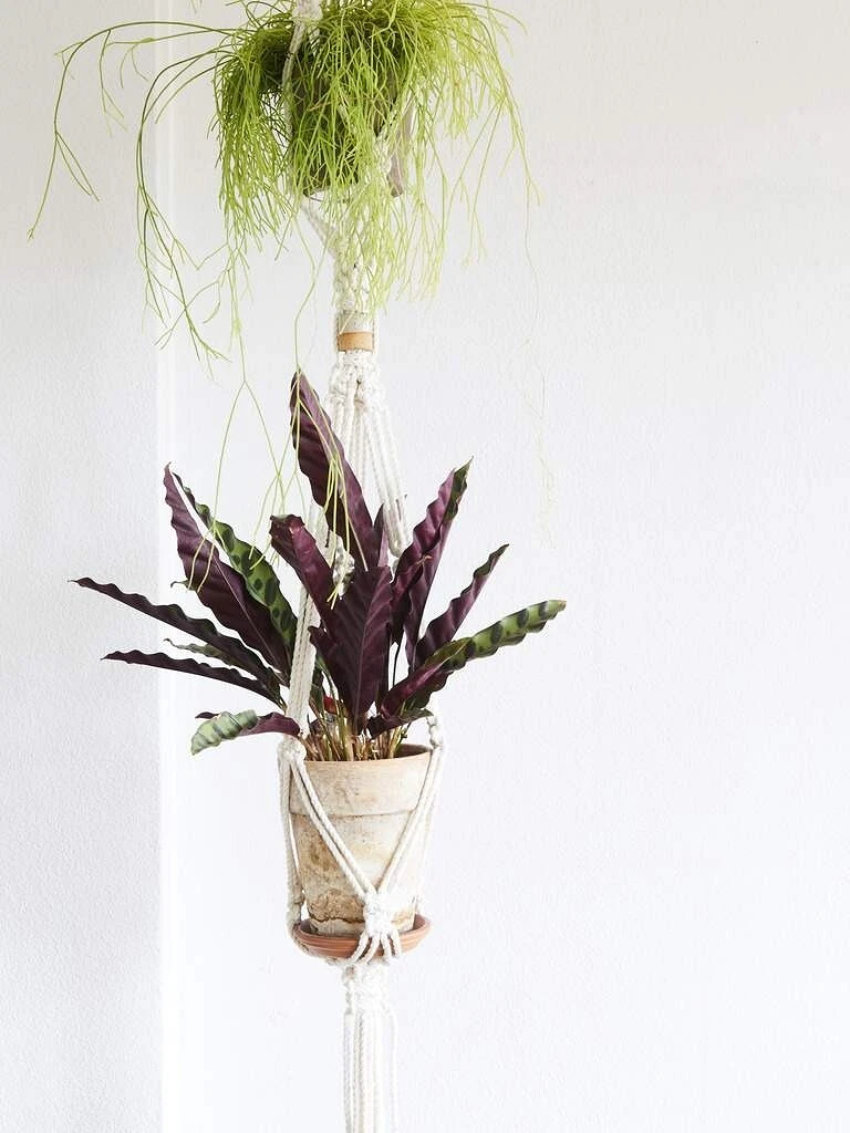 MacRame: Bħala teknika minsija bit-trijonf lura fil-quċċata tal-labar