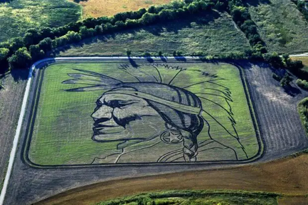 Amikor egy férfi fél éve megütötte a területét, a szomszédok úgy döntöttek, hogy tetője volt. De az eredmény megdöbbentette őket!