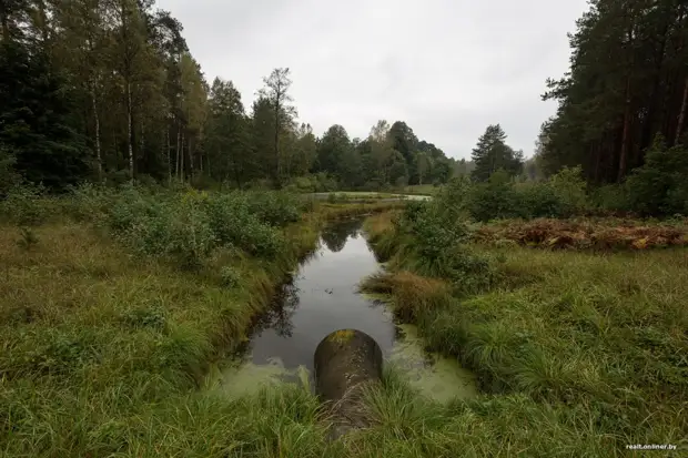 Rentner mehr als 45 Jahre Leben lebt allein im tauben Wald ohne Wasser, Licht, Gas und Telefon