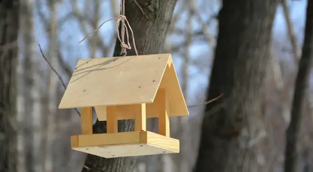 Feeder für Vögel mit ihren eigenen Händen