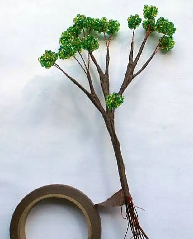 Cuenta de Clase Master Bonsai