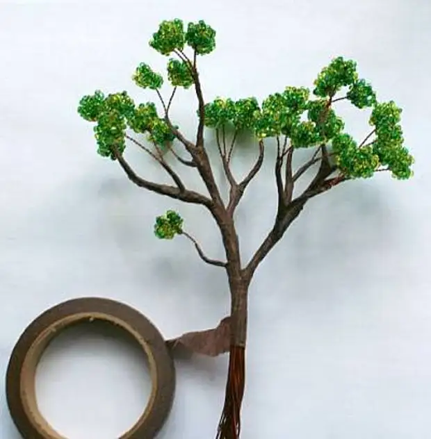 Cuenta de Clase Master Bonsai