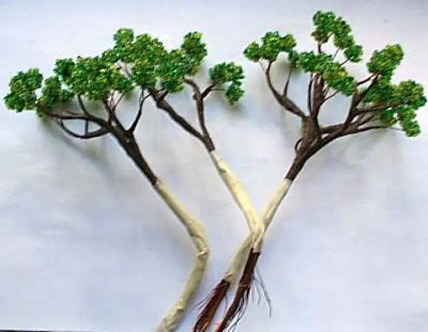 Cuenta de Clase Master Bonsai