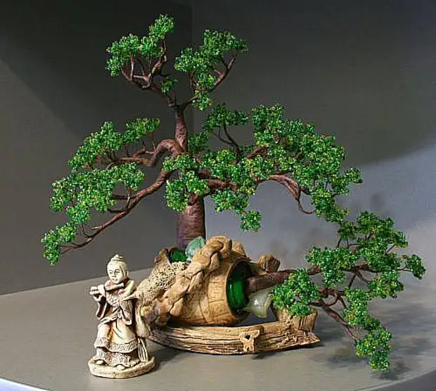 Cuenta de Clase Master Bonsai