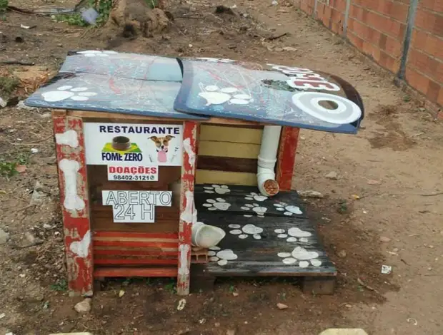 Cães desabrigados lambendo as mãos para este cara brasileiro por sua incrível invenção.