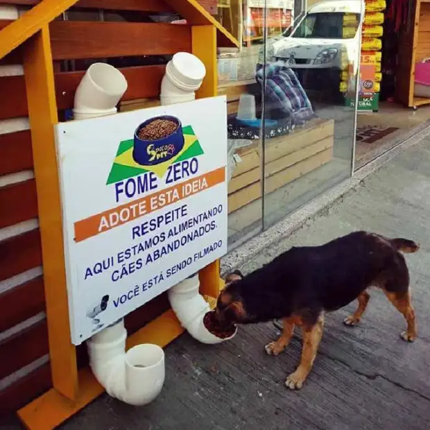 Doma beskućnika ližući se za ruke ovog brazilskog momka zbog njegovog nevjerovatnog izuma.