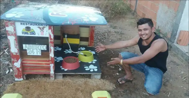 Cães desabrigados lambendo as mãos para este cara brasileiro por sua incrível invenção.