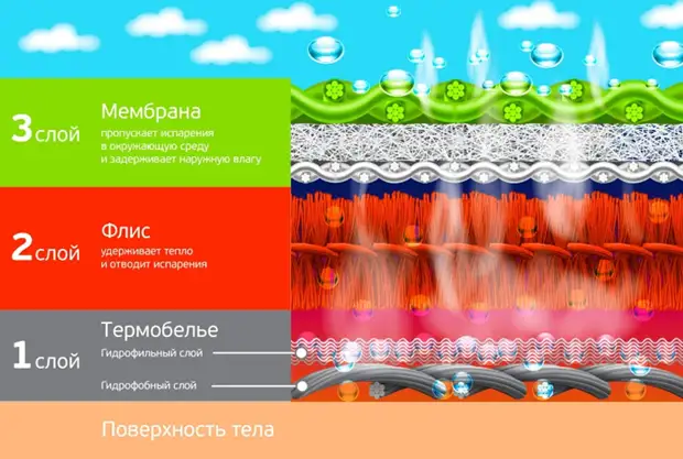 Membrane