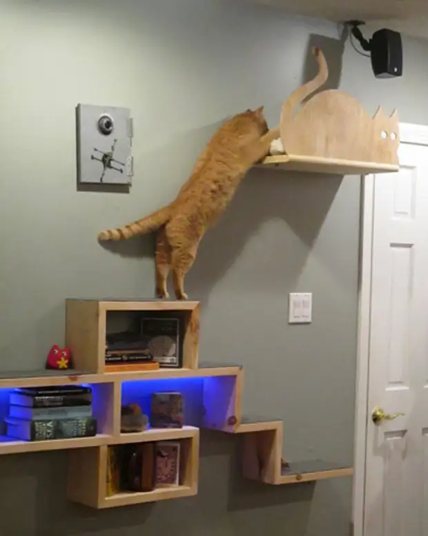 Mobilje mur (raft) për macet bëjnë vetë