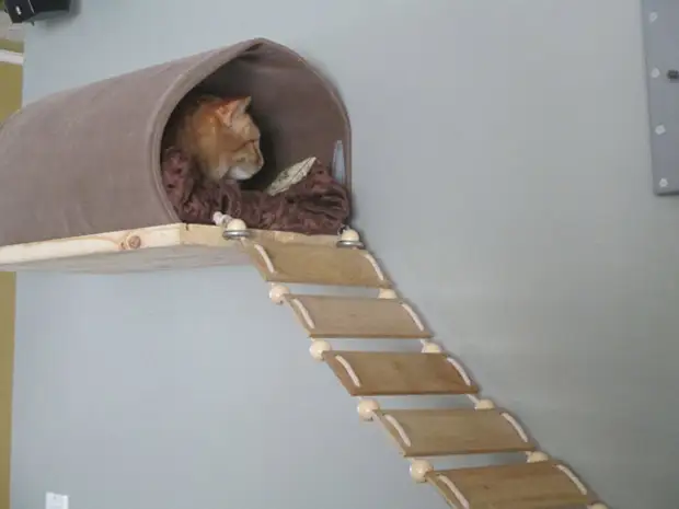 Mobles de parede (andel) para os gatos faino vostede mesmo