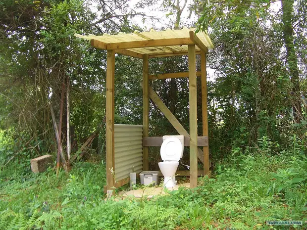 World Toilet Day.