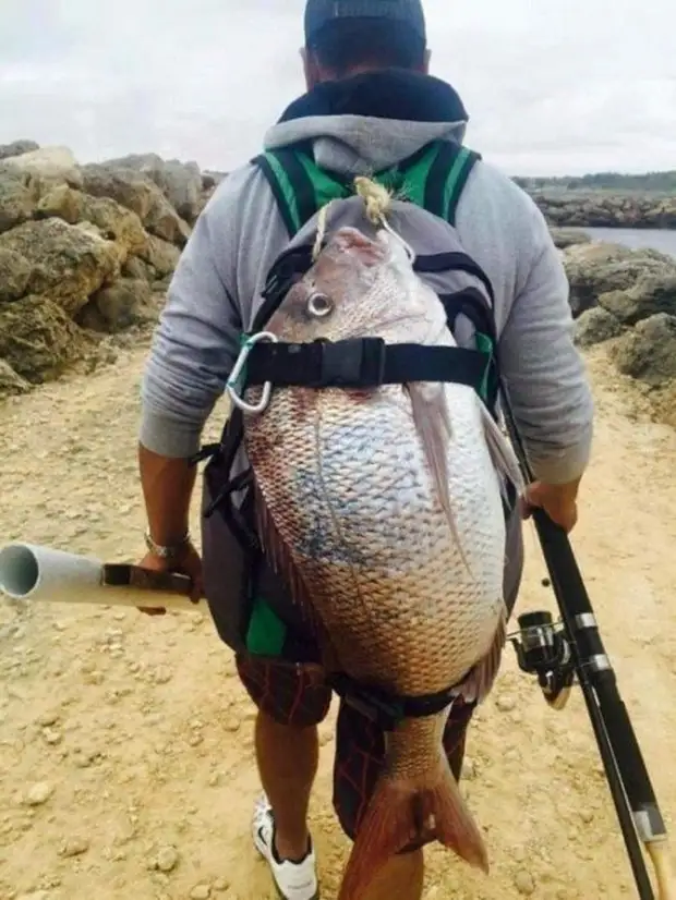 Cooker u resourcefulness fil-ħajja ta 'kuljum