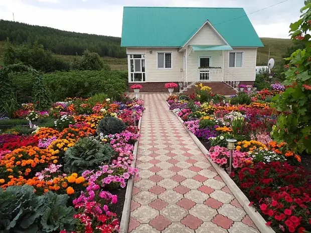 Paraíso de flores dunha muller fermosa. Basta con mirar esta beleza!