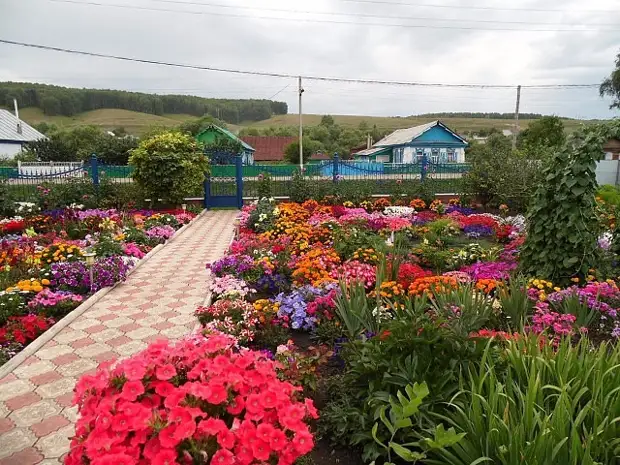 Paradis de fleurs d'une belle femme. Il suffit de regarder cette beauté!