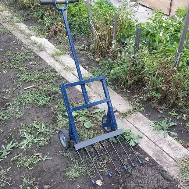 Matagofie suo "hectar" - uili i luga o uili, super suo, mea fou mo togalaau ma faifaatoaga