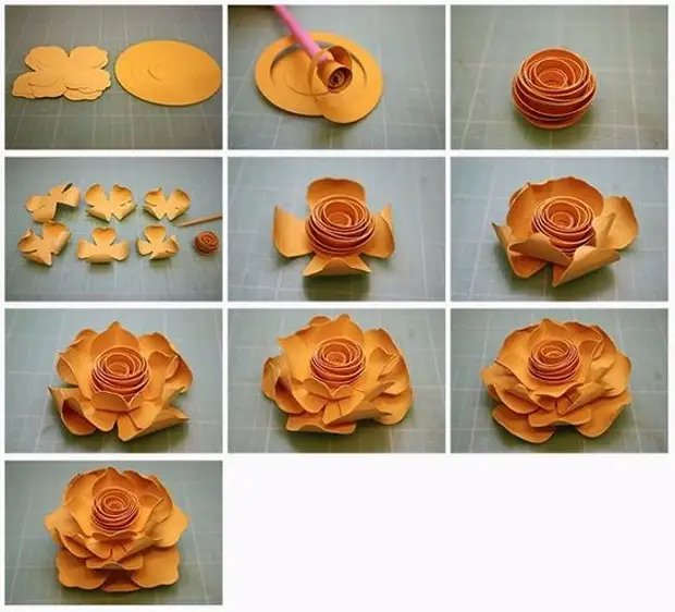 Beauté de papier dans des roses de différentes tailles