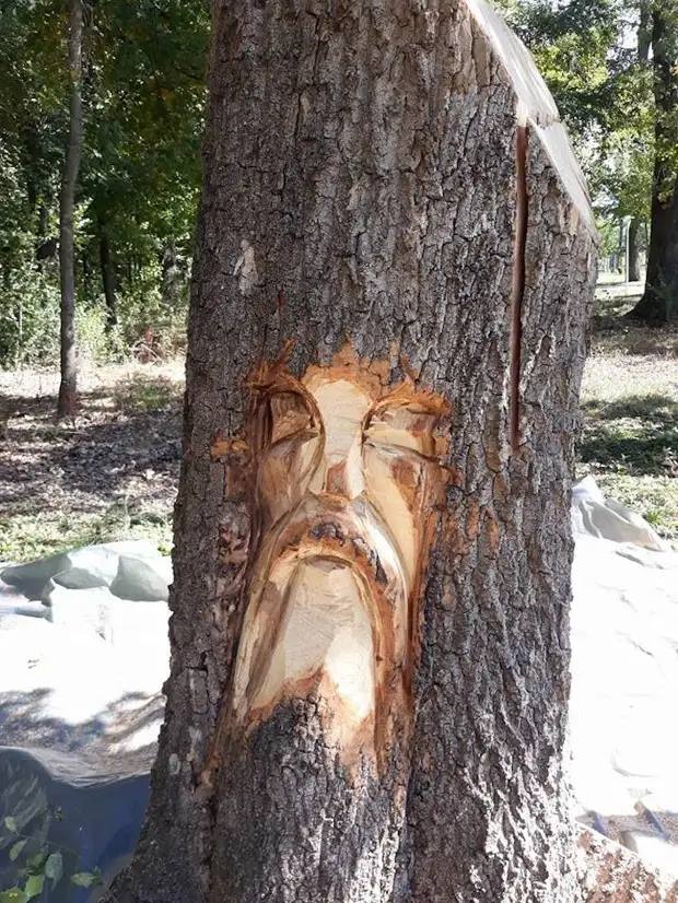 Chainsaw vaikinas pasuko puvimo kelmą į kibirą su tekančiu vandens medžiu, grožiu, kelmu, tai padaryti patys, daryti, skulptūrą