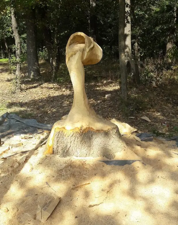 En kille av motorsåg vände ruttande stubbe i en hink med ett flytande vattenträd, skönhet, stump, gör det själv, gör, skulptur