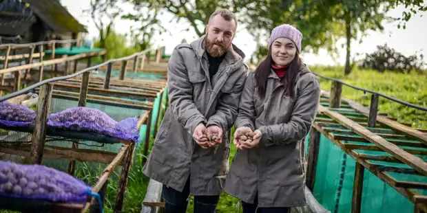 Chrám má všechny prstové zkroucené ... Jako kancelář pracovník otevřel první farmě Uncupil v zemi