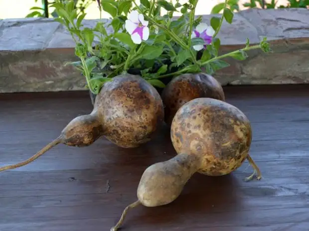 Idées de décor de la citrouille pour chalets à la maison et d'été