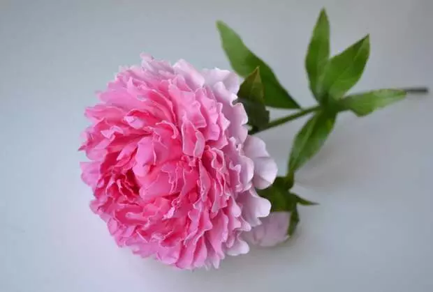 Polymer Clay Peony: Mga sunud-sunod na tagubilin