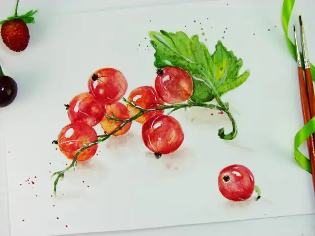 Red Currant Watercolor