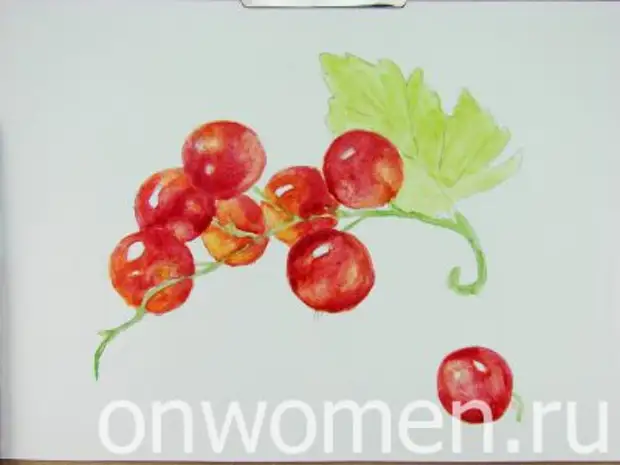 Red Currant Watercolor.