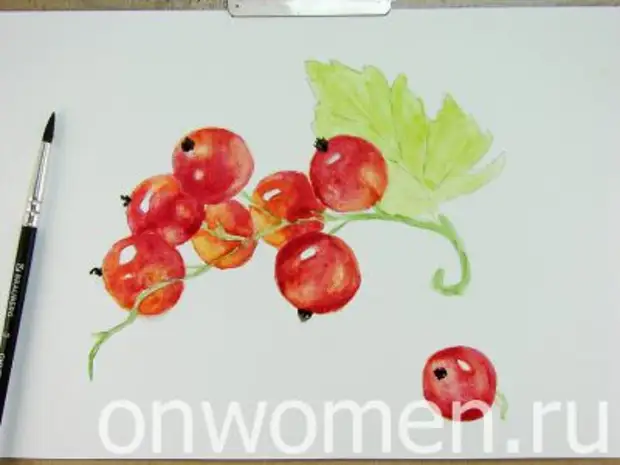 Red Currant Watercolor.