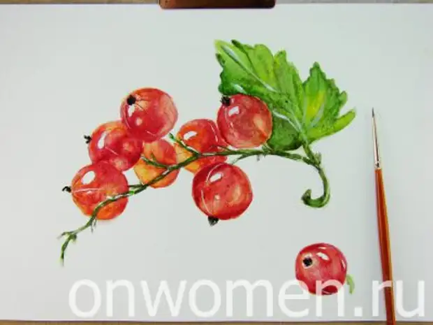 Red Currant Watercolor.