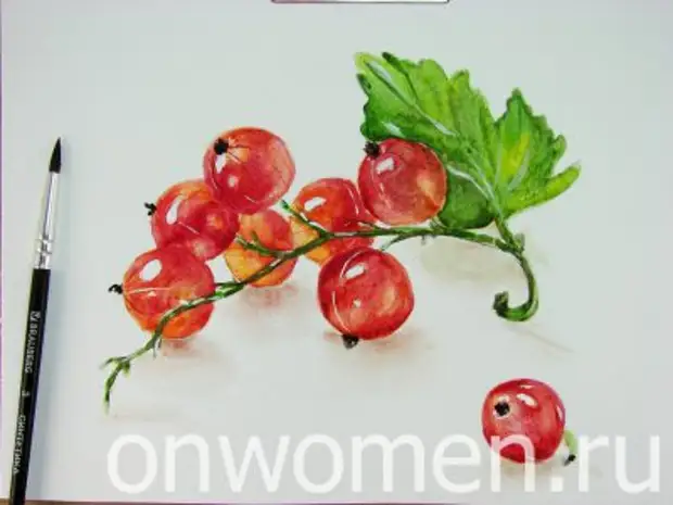 ពណ៌ទឹកក្រហម currant