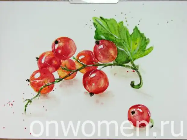 Red Currant Watercolor.