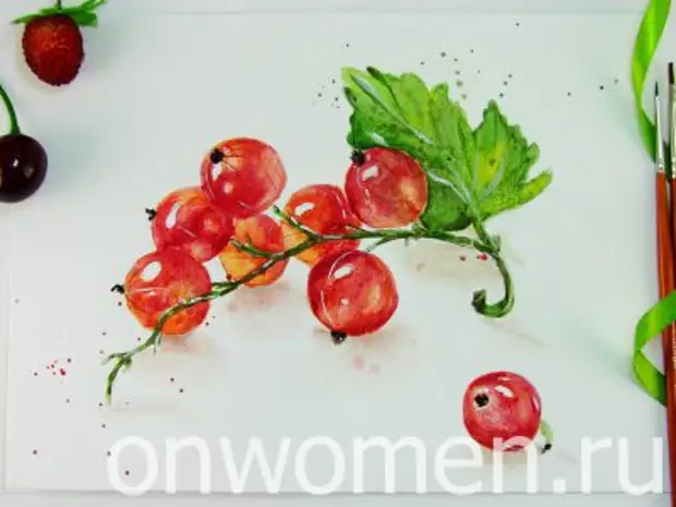 Red Currant Watercolor.