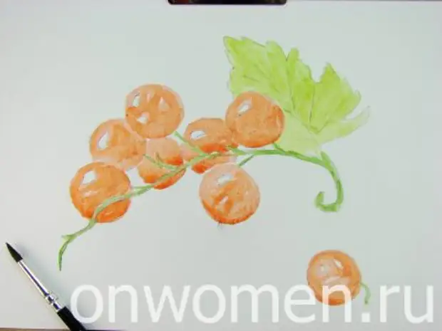 Red Currant Watercolor.