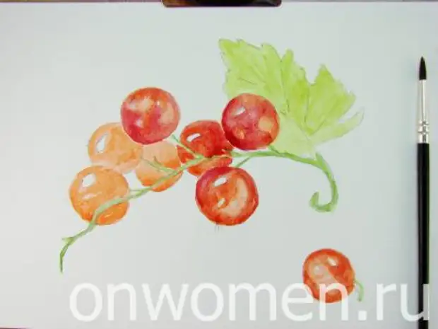 Red Currant Watercolor.