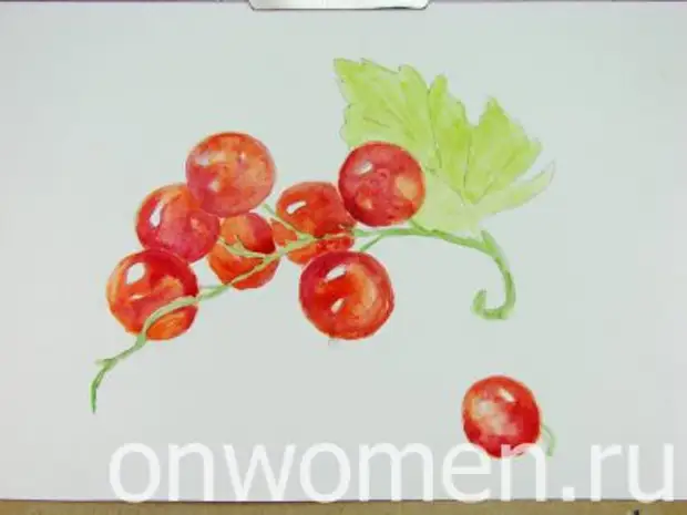 Red Currant Watercolor.