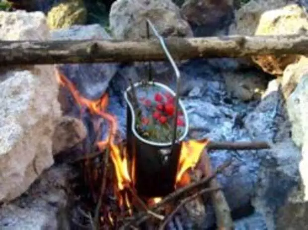 Behandeling van verkoues in die bos