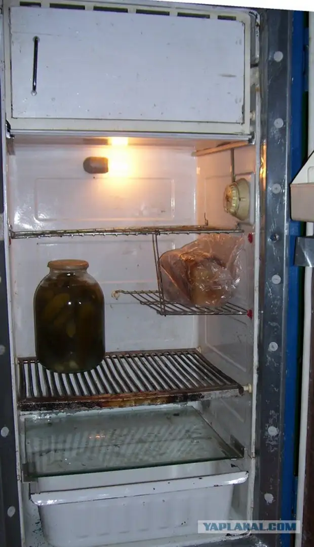 Из холодильника вынули закрытую крышкой. Плесень в холодильнике. Старый холодильник на полки. Старый холодильник с полкой. Алюминиевая полка старого холодильника.