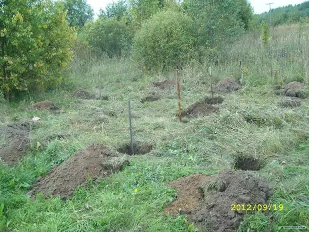 Моя лазня. будівництва пост